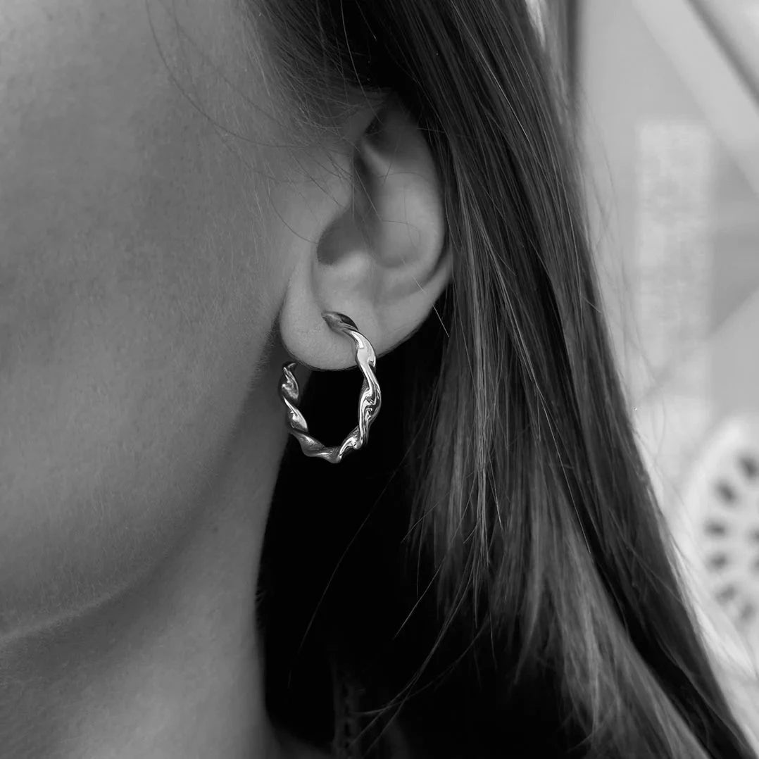 Claire earrings steel